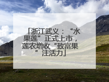 浙江武义：“水果莲”正式上市，莲农增收“致富果”注活力