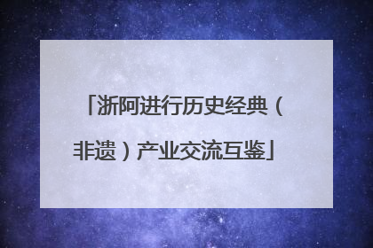 浙阿进行历史经典（非遗）产业交流互鉴