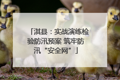 淇县：实战演练检验防汛预案 筑牢防汛“安全网”