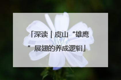 深读｜虞山“雄鹰”展翅的养成逻辑