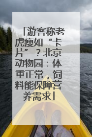 游客称老虎瘦如“卡片”？北京动物园：体重正常，饲料能保障营养需求