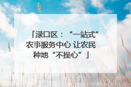渌口区：“一站式”农事服务中心 让农民种地“不操心”