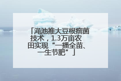 渑池推大豆根瘤菌技术，1.3万亩农田实现“一播全苗、一生节肥”