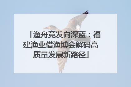 渔舟竞发向深蓝：福建渔业借渔博会解码高质量发展新路径