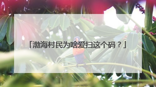 渤海村民为啥爱扫这个码？