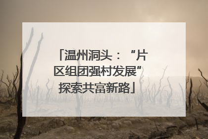 温州洞头：“片区组团强村发展”探索共富新路