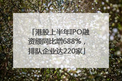 港股上半年IPO融资额同比增688%，排队企业达220家