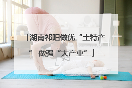 湖南祁阳做优“土特产” 做强“大产业”