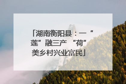 湖南衡阳县：一“莲”融三产 “荷”美乡村兴业富民