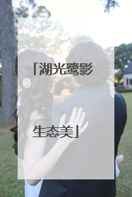 湖光鹭影生态美