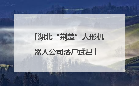 湖北“荆楚”人形机器人公司落户武昌