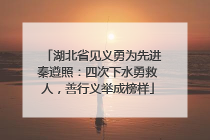 湖北省见义勇为先进秦遵照：四次下水勇救人，善行义举成榜样