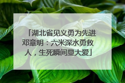 湖北省见义勇为先进邓章明：六米深水勇救人，生死瞬间显大爱