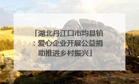 湖北丹江口市均县镇：爱心企业开展公益捐助推进乡村振兴