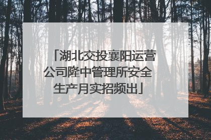 湖北交投襄阳运营公司隆中管理所安全生产月实招频出