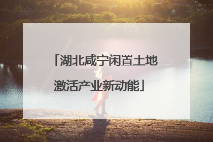 湖北咸宁闲置土地激活产业新动能