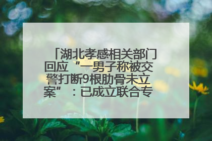 湖北孝感相关部门回应“一男子称被交警打断9根肋骨未立案”：已成立联合专班开展工作