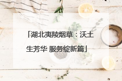 湖北夷陵烟草：沃土生芳华 服务绽新篇