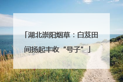 湖北崇阳烟草：白芨田间扬起丰收“号子”