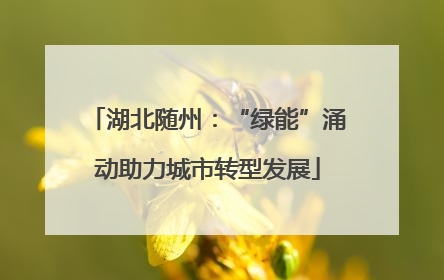 湖北随州：“绿能”涌动助力城市转型发展