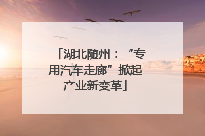 湖北随州：“专用汽车走廊”掀起产业新变革