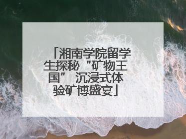 湘南学院留学生探秘“矿物王国” 沉浸式体验矿博盛宴