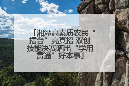 湘潭高素质农民“擂台”亮真招 双创技能决赛晒出“学用贯通”好本事