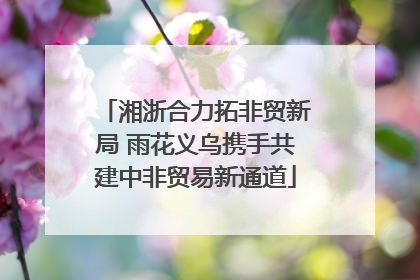 湘浙合力拓非贸新局 雨花义乌携手共建中非贸易新通道
