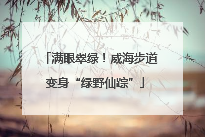 满眼翠绿！威海步道变身“绿野仙踪”