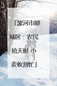 漯河市郾城区：农民抢天时 小麦收割忙