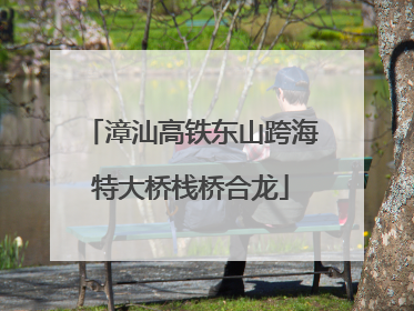 漳汕高铁东山跨海特大桥栈桥合龙