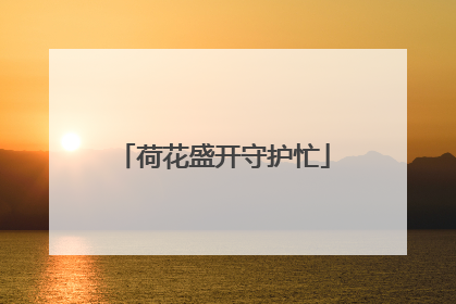 荷花盛开守护忙