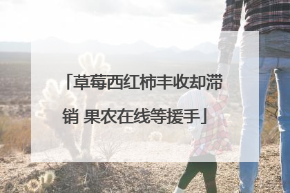 草莓西红柿丰收却滞销 果农在线等援手