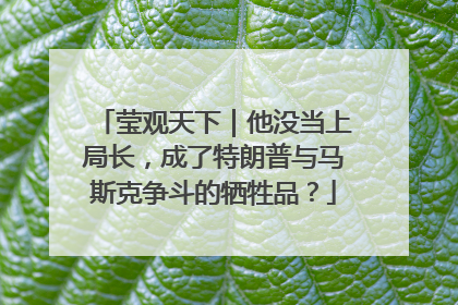莹观天下｜他没当上局长，成了特朗普与马斯克争斗的牺牲品？
