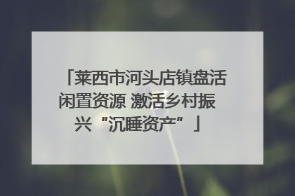 莱西市河头店镇盘活闲置资源 激活乡村振兴“沉睡资产”