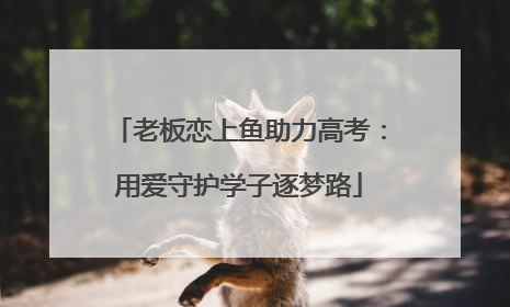 老板恋上鱼助力高考：用爱守护学子逐梦路