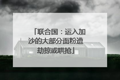 联合国：运入加沙的大部分面粉遭劫掠或哄抢