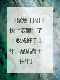 聚焦丨周口快“麦罢”了！收成好于上年、品质高于往年