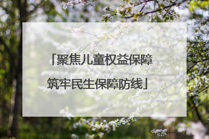 聚焦儿童权益保障 筑牢民生保障防线