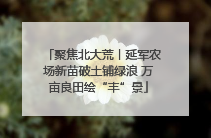 聚焦北大荒丨延军农场新苗破土铺绿浪 万亩良田绘“丰”景