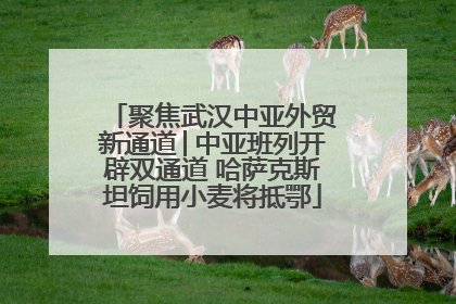 聚焦武汉中亚外贸新通道│中亚班列开辟双通道 哈萨克斯坦饲用小麦将抵鄂