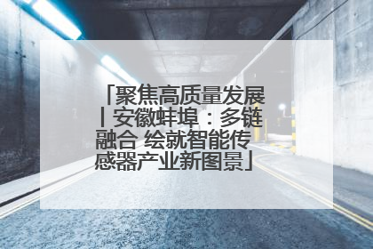 聚焦高质量发展丨安徽蚌埠：多链融合 绘就智能传感器产业新图景