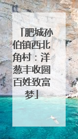 肥城孙伯镇西北角村：洋葱丰收圆百姓致富梦