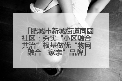 肥城市新城街道同圆社区：夯实“小区融合共治”根基做优“物网融合一家亲”品牌