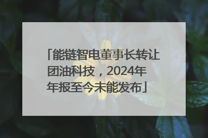 能链智电董事长转让团油科技，2024年年报至今未能发布