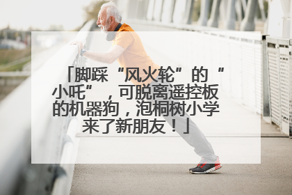 脚踩“风火轮”的“小吒”，可脱离遥控板的机器狗，泡桐树小学来了新朋友！