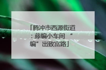 腾冲市西源街道：藤编小车间 “编”出致富路