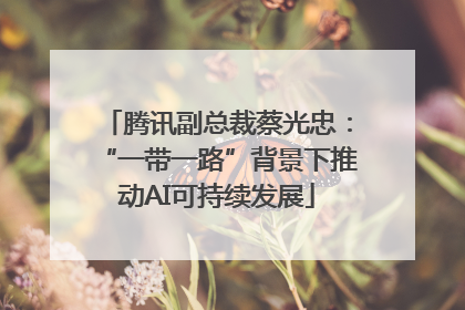 腾讯副总裁蔡光忠：“一带一路”背景下推动AI可持续发展