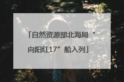 自然资源部北海局“向阳红17”船入列