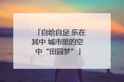 自给自足 乐在其中 城市里的空中“田园梦”